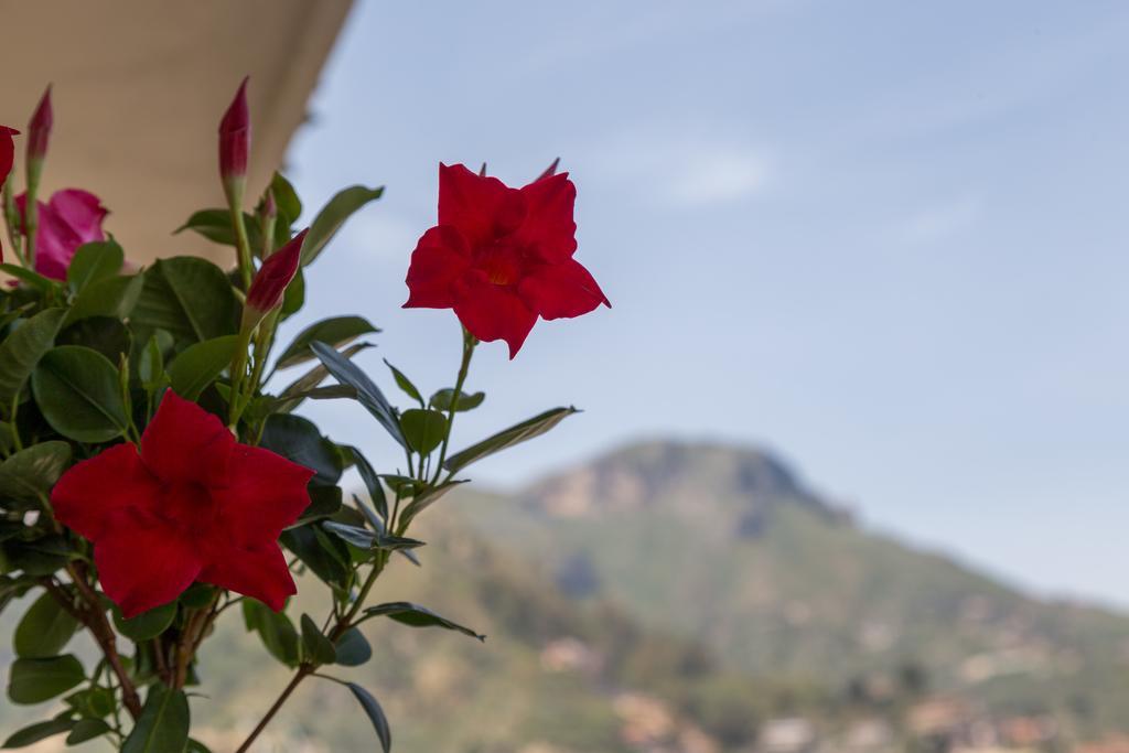 La Guardiola Di Angela E Nino Bed & Breakfast ตาออร์มินา ภายนอก รูปภาพ